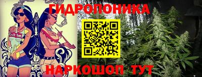 PSILOCYBIN Кандалакша