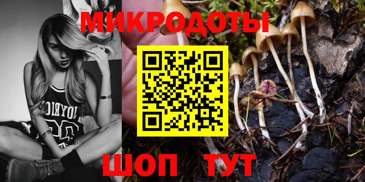 Куйбышев  Псилоцибиновые грибы Psilocybe  Вход с VPN  Галлюциногенные грибы MAGIC MUSHROOMS 