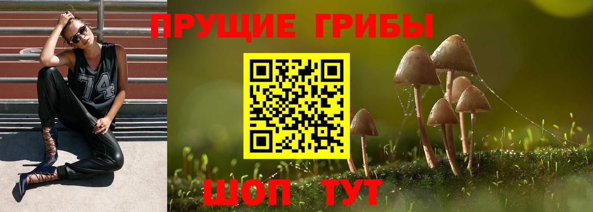 Псилоцибиновые грибы ЛСД Куйбышев